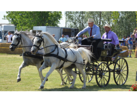 Fijakerijadom zaključeni Dani Opštine Pećinci